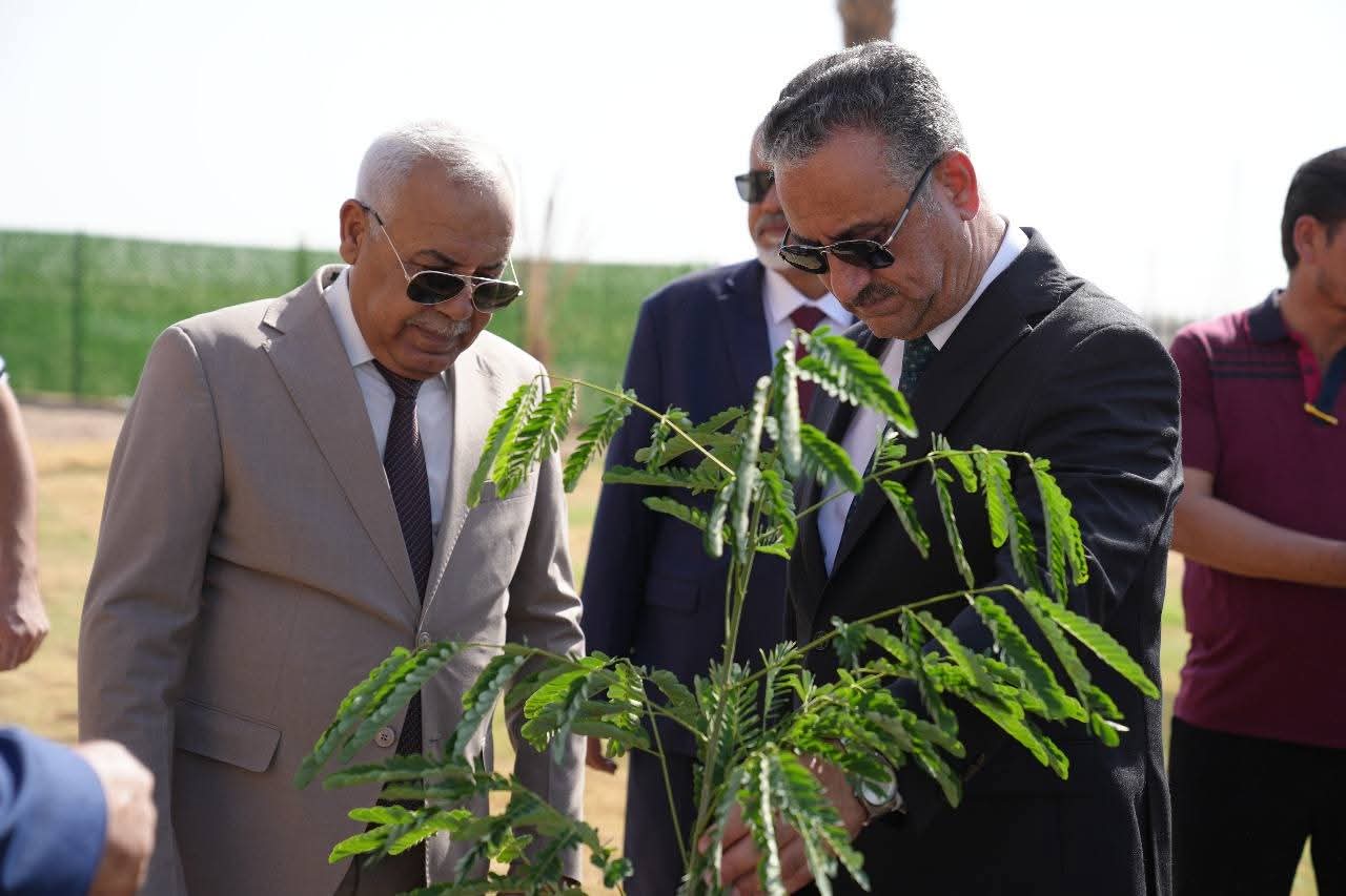  حملة تشجير المدينة الجامعية الجديدة