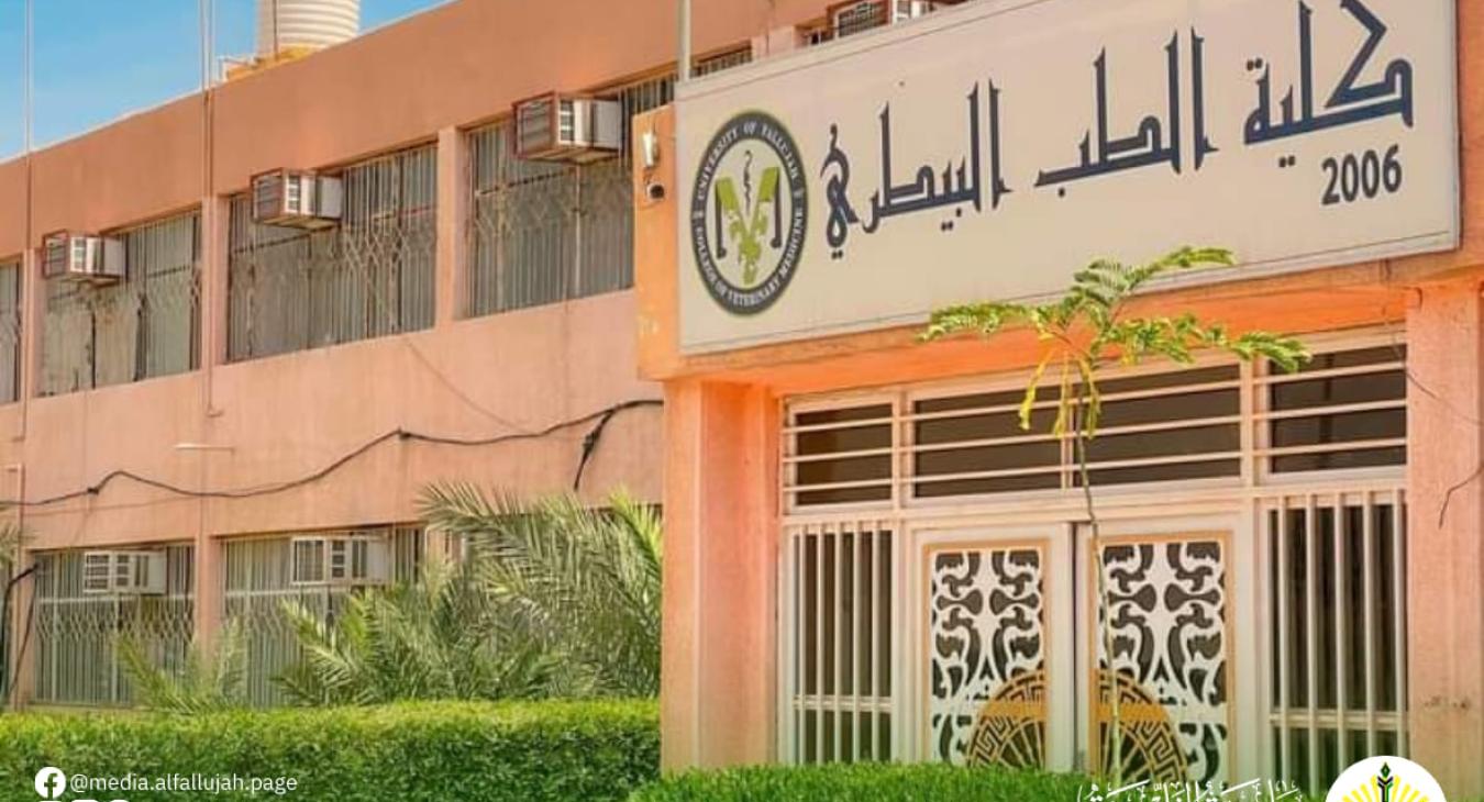 The University of Fallujah announces the creation of a master’s program in veterinary public health