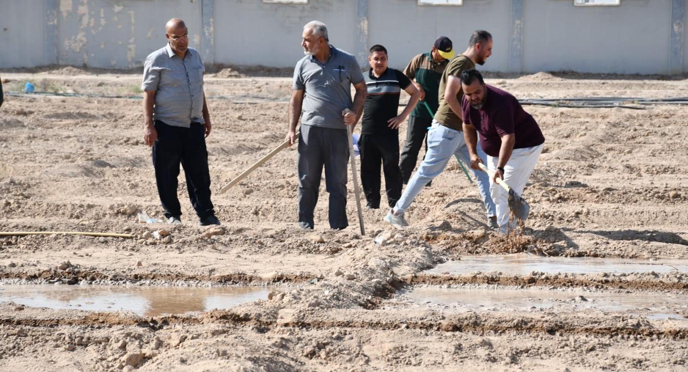 The University of Fallujah begins implementing a series of applied research to study the effect of organic and biological fertilizers on agricultural crops