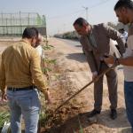 University of Fallujah Continues Tree-Planting Campaigns at the New University City Site